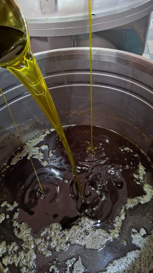 Huile d'olive 2024/2025 disponible